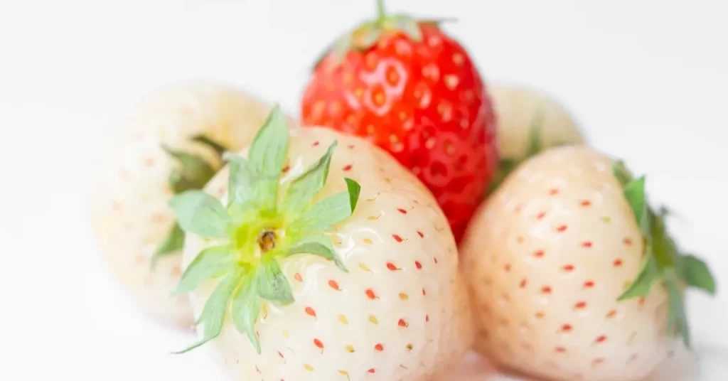 Quatro morangos brancos e um morango vermelho estão agrupados sobre uma superfície branca. O morango vermelho está ao centro, em destaque entre o morangos branco
