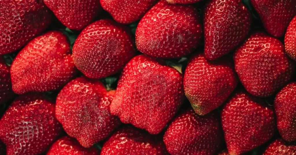 Vários morangos frescos e vermelhos, alinhados lado a lado, mostrando a textura brilhante e suculenta das frutas.