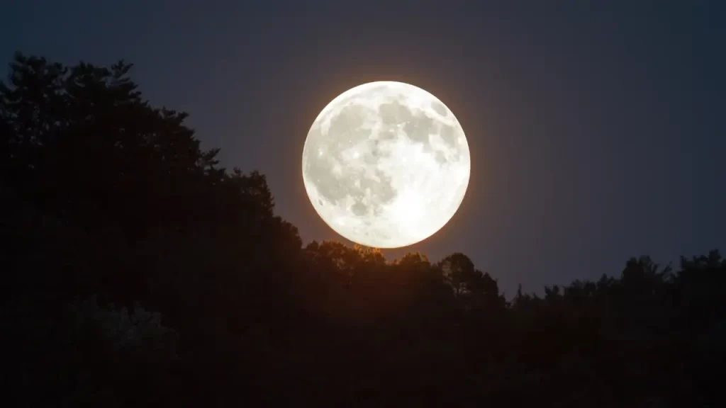 A lua de morango em um tom branco-amarelado, destacando-se no céu noturno acima de uma linha de árvores escuras, com detalhes de sua superfície visíveis.
