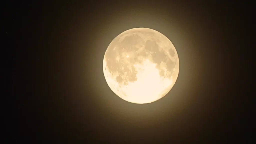 A lua de morango em um tom alaranjado, elevando-se acima de uma silhueta de árvores escuras, iluminando suavemente o horizonte.