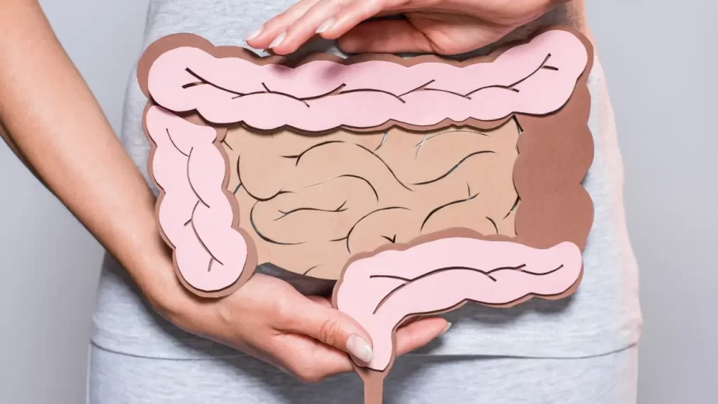 Morango prende ou solta o intestino? A resposta está aqui!