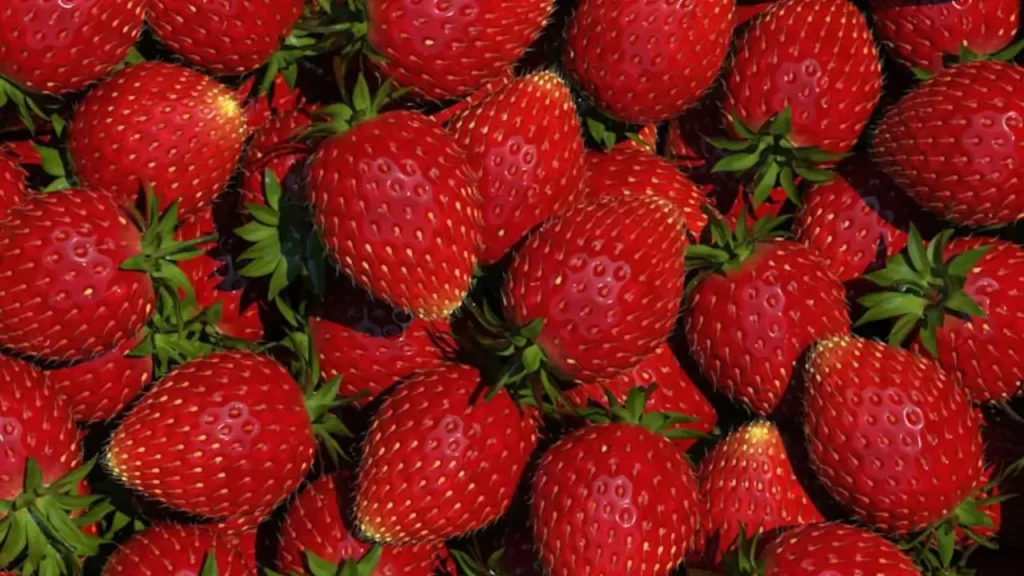 "Uma pilha de morangos vermelhos maduros com folhas verdes, capturada de perto sobre um fundo escuro, evidenciando a textura rica e a cor vibrante da fruta." O que significa preferir morango a outras frutas, segundo a psicologia?